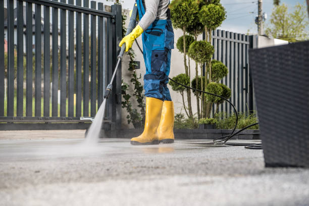 Best Roof Washing  in New California, OH